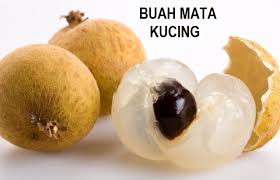 Pokok ini dikenali sedemikian kerana rupa dan saiz buahnya yang seperti mata kucing. Anim Agro Technology Tanaman Mata Kucing Terbukti