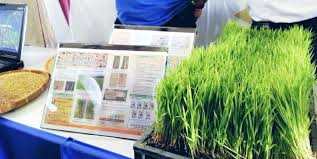 Bio valley felcra berhad mula dibangunkan pada september 2009 iaitu sempena ulang tahun felcra berhad kali ke 12. Kembara Felcra Bersama Media