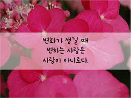 오늘의명언 사랑명언 좋은글귀 사랑글 사랑좋은글10월24일 오늘의 명언은 사랑에대한 좋은 글 명언들을 모 좋은 글귀 명언