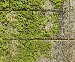 35 Paver Patio Ideas To Upgrade Your Outdoor Living Space