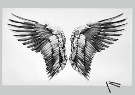 Black And White Angel Wings Drawing Wing Pen Drawings By Alessandro Paglia The Cool Hunter Wings Drawing Pen Drawing Drawings