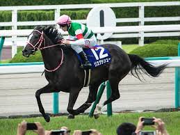 2021年6月27日、上半期を締めくくるグランプリ「宝塚記念」が阪神競馬場で開催される。 昨年、圧勝したクロノジェネシスが連覇を果たすのか。 となるとド真ん中すぎるので…… せめてレイパパレを1着固定にして夢を託すつもり。 とはいえ、なんだか今年の宝塚記念は大荒れす. å®å¡šè¨˜å¿µ Wikipedia