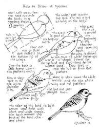 Bird With Light Brown Head And Black Body How To Draw Worksheets For Young Artist How To Draw A Sparrow Worksheet And Lesson Drawings Animal Drawings Bird Drawings