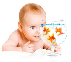 Baby with fish Stock Photos, Royalty Free Baby with fish Images