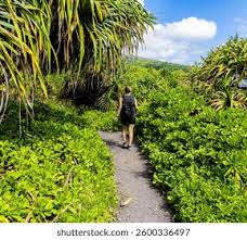 Image result for Kuloa