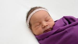 Daniel Braunschweig's Instagram, Twitter & Facebook