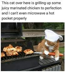 30 Entertaining Memes To Give You A Refreshing Guffaw Memebase Funny Memes Cute Cat Memes Funny Cat Memes Animal Memes