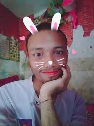 Hutan pinus Purwojiwo Kalikajar Wonosobo, salah satu hutan pinus terindah  di lereng Gunung Sumbing