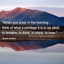Marcus Aurelius Justpost Virtually Entertaining