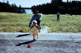 Friedhof der kuscheltiere ein film von kevin kölsch und dennis widmyer mit jason clarke, amy seimetz. Friedhof Der Kuscheltiere 1989 Film Cinema De
