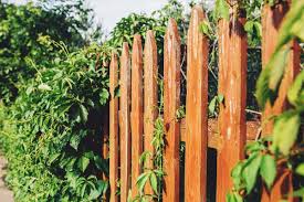 Install hinges and attach the gate to the fence. 30 Diy Cheap Fence Ideas For Your Garden Privacy Or Perimeter