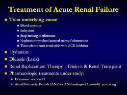 Acute renal failure are classified into following: Renal Failure Ppt Download