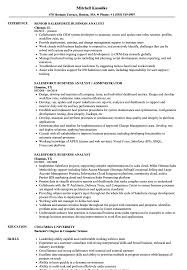 Salesforce Business Analyst Resume Samples Velvet Jobs