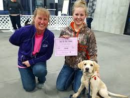 Dog boot camp (or for puppies too!) is a fast track way to have your dog trained with us. Tails Up Dog Training
