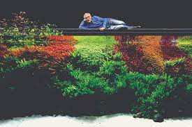 Legendary among aquarists, takashi amano is one of the biggest names in the aquascaping industry. New Takashi Amano Bio An Aquarium Life Amazonas Magazine