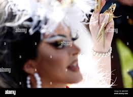 Picture cherry hi-res stock photography and images