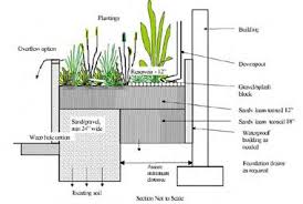 Note To Self We Need To Do This In Our Backyard In Brooklyn Bet It Would Majorly Reduce Our Floods Rain Garden Rain Garden Design Garden Design