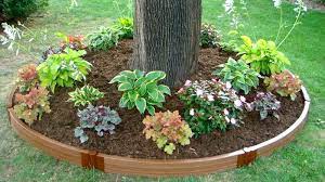 If you're working with a tall fence, you could consider planting a trained tree to create interest way above the tops of the rest of. Tree Ring Landscape Border Fia 6 5tr 138 92 Landscaping Around Trees Landscaping Trees Landscape Borders