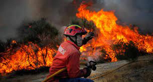 No balanço efectuado pelas 7h30 o incêndio foi dado como dominado e foram iniciadas as operações de rescaldo e consolidação. Farmers And Producers Can Start Registering Damages From Monchique Fire Portugal Resident