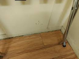 The backyard is low and soft so that when the grass is cut you can see deep tracks from the lawn mower. There Were No Baseboards Along Any Walls Because Of All The Water Damage With Black Mold Growing All Along Them Picture Of Days Inn By Wyndham Socorro Tripadvisor