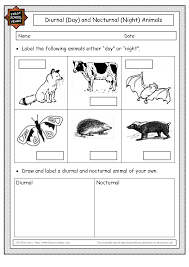 Image Result For Nocturnal Animals Worksheets Kindergarten Nocturnal Animals Nocturnal Animals Kindergarten Animal Worksheets