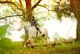 Horseback riding in ocala, floirda is fun! Our Town Ocala Style Magazine