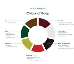 Image result for dark black stool human poop