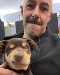 Introducing the newest member of the Wolfepack… ✨🌟⭐️ S L I M ⭐️🌟✨ Thanks  so much @rileylamperd Long live the king 👑