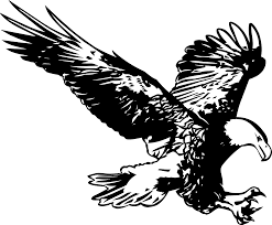 You can find more eagle black and white drawing in our search box. Eagle Black And White Birds Free Vector Graphic On Pixabay