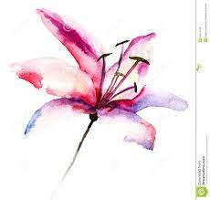 Collect all diy watercolor tattoo ideas on lily watercolor tattoo, flower watercolor tattoo to personalize yourselves. Beautiful Lily Flowers Watercolor Tattoo Flower Flower Tattoos Watercolor Abstract Tattoo