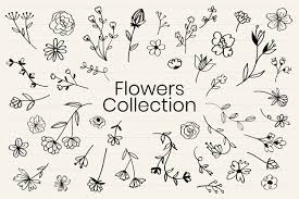 View 1,000 hand drawn flower illustration, images and graphics from +50,000 possibilities. Hand Drawn Flowers Images Free Vectors Stock Photos Psd