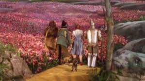 It can transform from a blooming rose, to a chrysanthemum, to a dahlia, to a daffodil, and on through a range of other possibilities. Man Dressed As Tin Man Injured In Fight With Scarecrow Police Ctv News