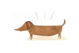 Sausage Dog Illustration Dachshund Illustration Sausage Dog Dog Illustration