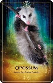 Spirit Animalscopes For April 2020 Animal Tarot Spirit Animal Animal Tarot Cards