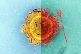 Generally, remission means that you can reduce or stop your treatment, at least temporarily. Covid 19 And Cancer A Strange Case In Which A Tumor Went Into Remission After An Infection