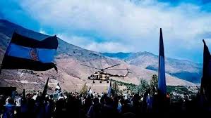 While branding himself the legitimate caretaker president of afghanistan, saleh, last week, insisted that he would 'under no. Boptwbs Pq8t M