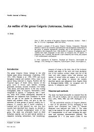 Image result for Geigeria brevifolia