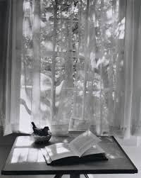 Andre Kertesz Newtown Connecticut October 17 1959 Thank You Crashinglybeautiful Andre Kertesz Andre Photography