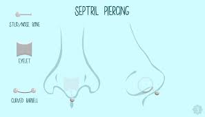 7 Popular Types Of Nose Piercings Their Corresponding