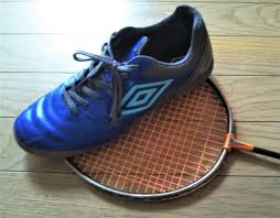 バドミントン シューズ 代用