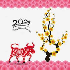 Gambar Selamat Tahun Baru Cina 2021 Tahun Lembu Ox Kerbau Bunga Aprikot Png Dan Vektor Untuk Muat Turun Percuma