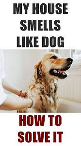 It Can Be Difficult For Dog Owners To Keep Their Homes Smelling Fresh But We Ll Show You How To Get Rid Of Dog Smell Out Dog Smells Dog Pee Smell House