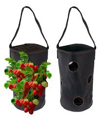 The soil can dry out quickly in a small planter, leading to shriveled fruit and yellow leaves. Vertical Garden Hanging Planter 7 Hole Bag For Strawberry Bare Root Plants Felt Material Organic Watering System As Seen On Tv Walmart Com Walmart Com