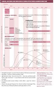 Image result for Q Fever