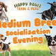 Medium Breed Socialisation Evening event image