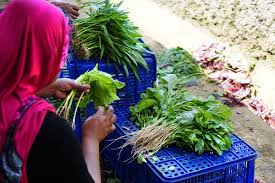 Resep memasak sayur bayam bening tidaklah sulit, cukup sederhana, namun merupakan kemampuan wajib bagi seorang ibu rumah tangga. Cara Masak Bayam Yang Benar Blog Kecipir