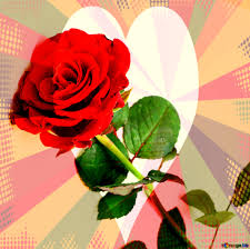 Try istock for even more selection. Love Rose Flower Images Free Download Hd Girls Dp