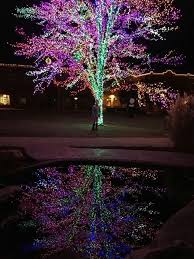 Maybe you would like to learn more about one of these? The Magic Tree Columbia Mo Outdoor Christmas Decorations Outdoor Christmas Outdoor Decor