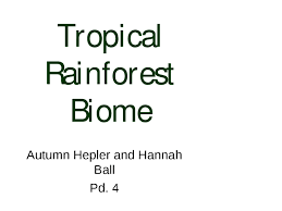 This entire species live in completely distinct environments. Tropical Rainforest Biome 3 By Christina Thomas Issuu