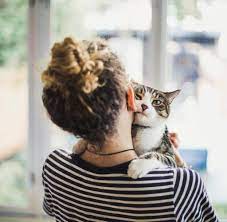 Also sei ganz entspannt, jetzt den sommer über bis oktober ist das angebot an nachwuchs groß und die tierheime quellen über mit. Katzen Bauen Enge Bindung Zu Ihren Besitzern Auf Welt